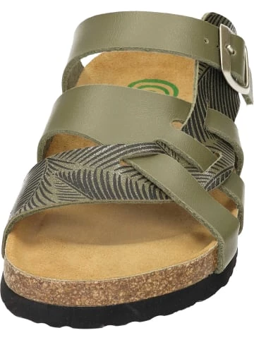Aktion 🎉 Clogs & Pantoletten Dr. BRINKMANN Klassische Pantoletten In Khaki Günstig Kaufen 🧨 5 Aktion 🎉 Clogs & Pantoletten Dr. BRINKMANN Klassische Pantoletten In Khaki Günstig Kaufen 🧨 – Bild 3