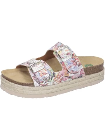 Coupon 👏 Clogs & Pantoletten Dr. BRINKMANN Klassische Pantoletten In Rosa Günstig Kaufen 🔔 3 Coupon 👏 Clogs & Pantoletten Dr. BRINKMANN Klassische Pantoletten In Rosa Günstig Kaufen 🔔