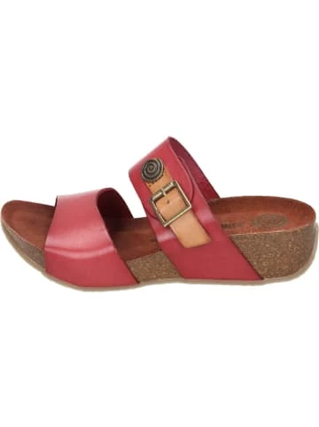 Schlussverkauf 🤩 Clogs & Pantoletten Dr. BRINKMANN Klassische Pantoletten In Rot Günstig Kaufen 👍 4 Schlussverkauf 🤩 Clogs & Pantoletten Dr. BRINKMANN Klassische Pantoletten In Rot Günstig Kaufen 👍 – Bild 2
