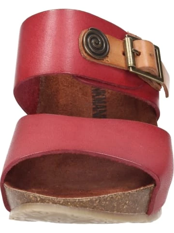 Schlussverkauf 🤩 Clogs & Pantoletten Dr. BRINKMANN Klassische Pantoletten In Rot Günstig Kaufen 👍 7 Schlussverkauf 🤩 Clogs & Pantoletten Dr. BRINKMANN Klassische Pantoletten In Rot Günstig Kaufen 👍 – Bild 5
